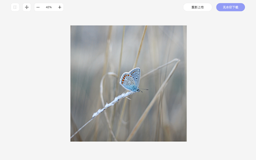 Online Image Watermark Remover