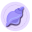 Conch
